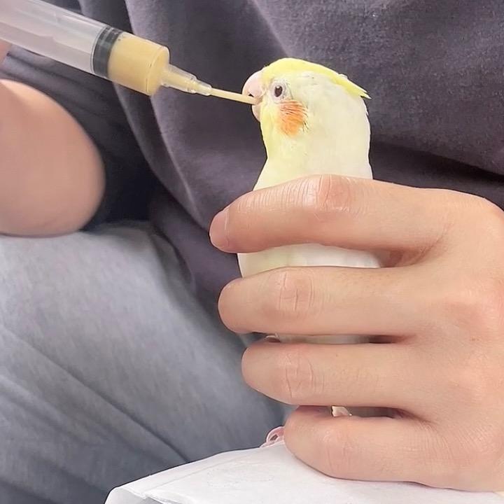 9188.18万粉丝