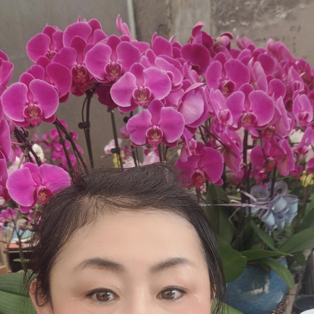 60后芳姐的花园