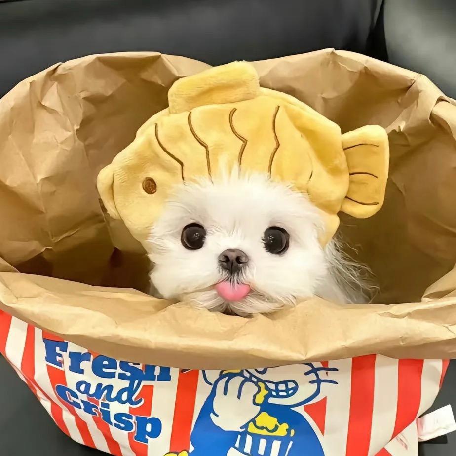 小马做电商