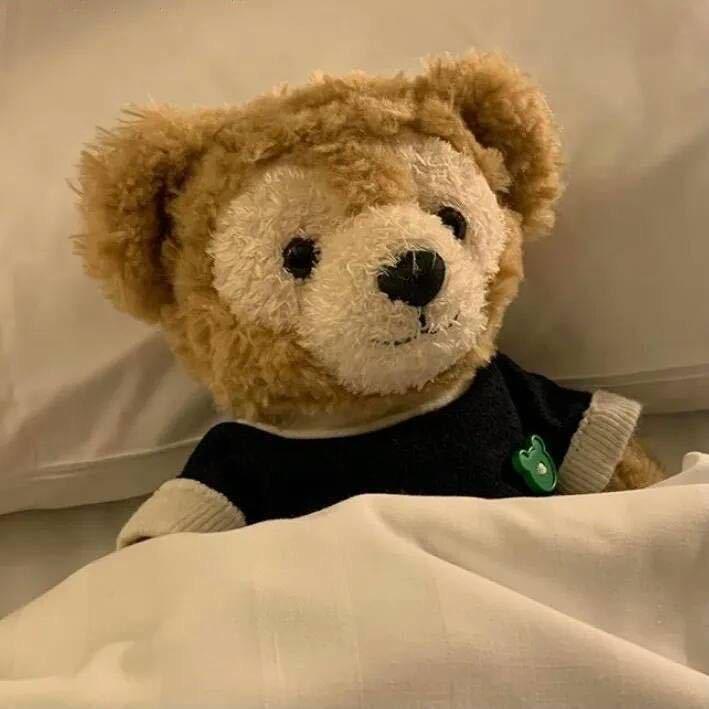洁妮大王