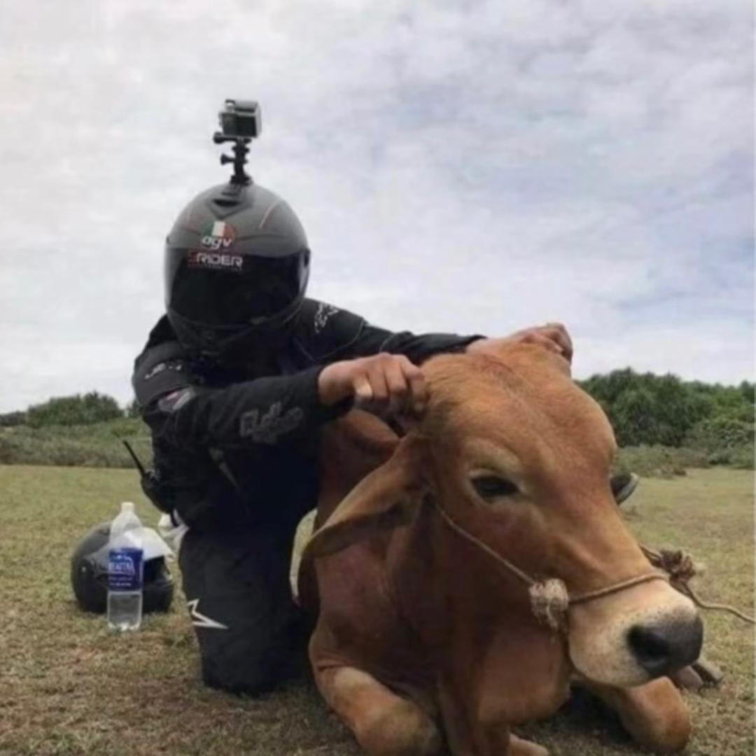 拾壹