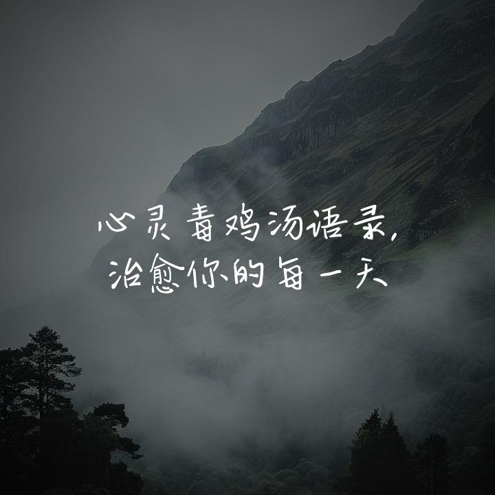 心灵毒鸡汤