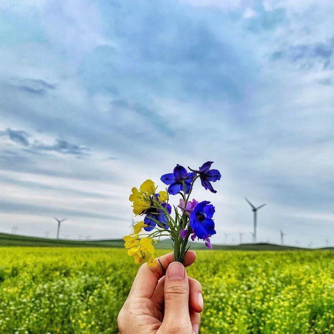 棉花糖