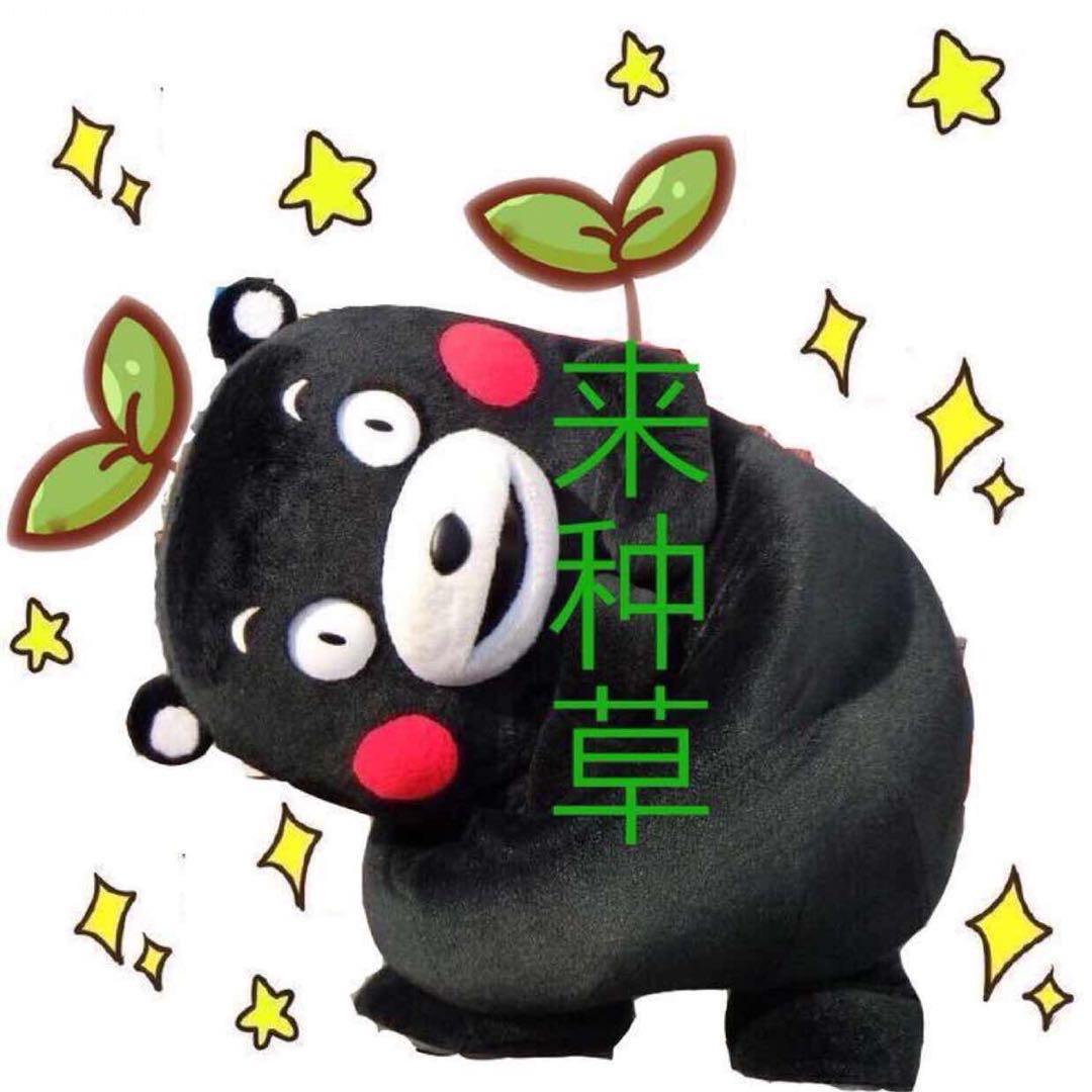 若懂情惜
