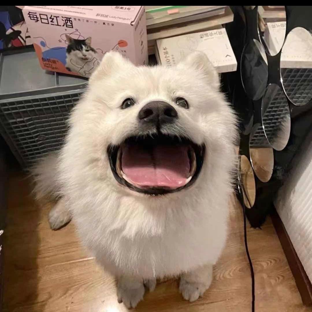 宜宝很乖～