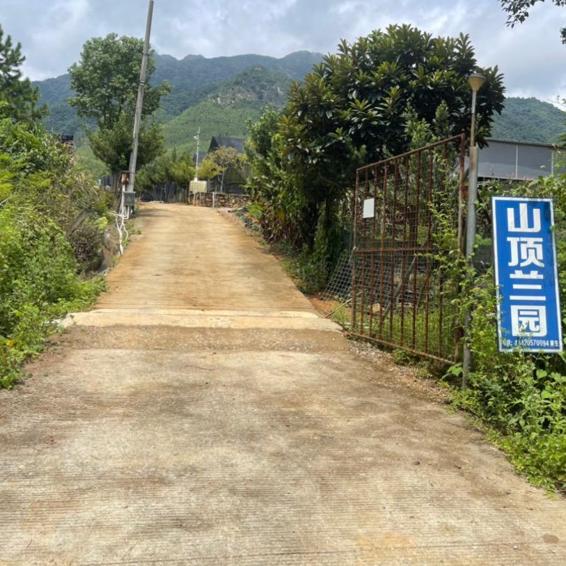 翁源县江尾镇山顶兰园