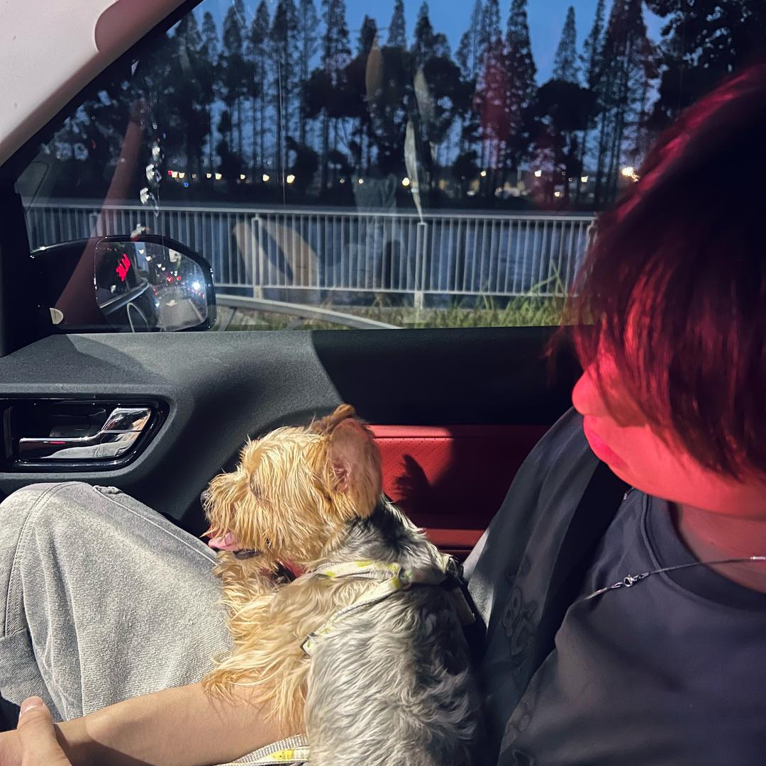 蛋蛋（不要熬夜）