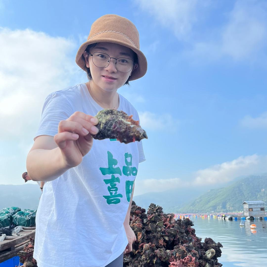 南澳岛甄选生蚝