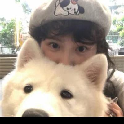 柿柿皆顺