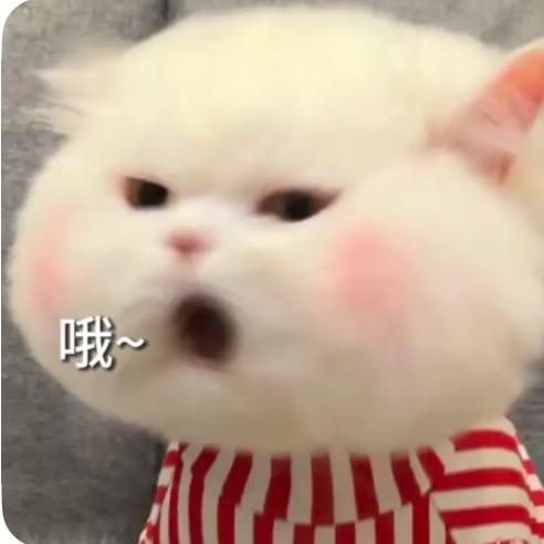 冷妹说瓜