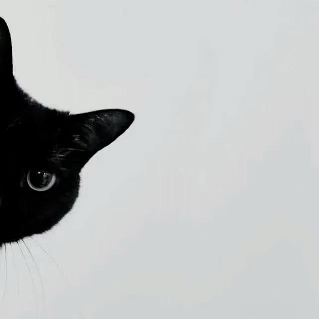 ￴￴ ￴ ￴￴ ￴ ￴ ￴