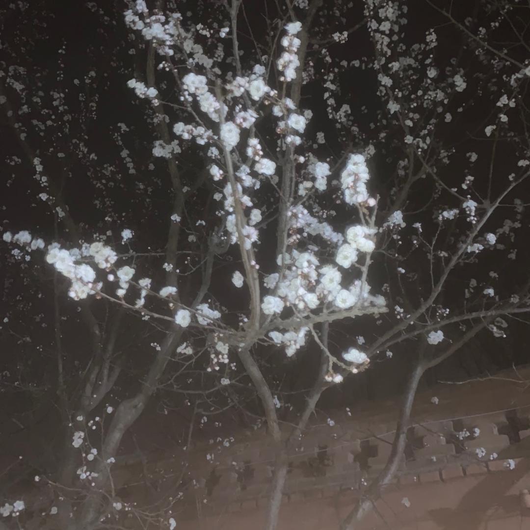 恩根