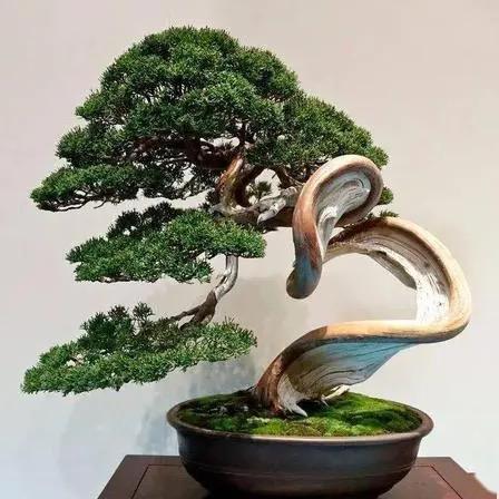悟空绿植盆景