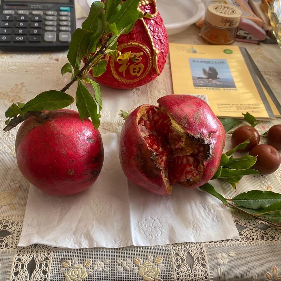 黄岛区金泉森土木工程店（个体工商户）