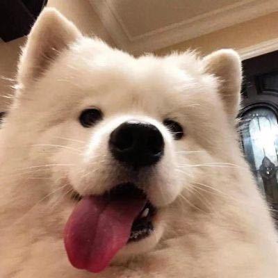 橘子