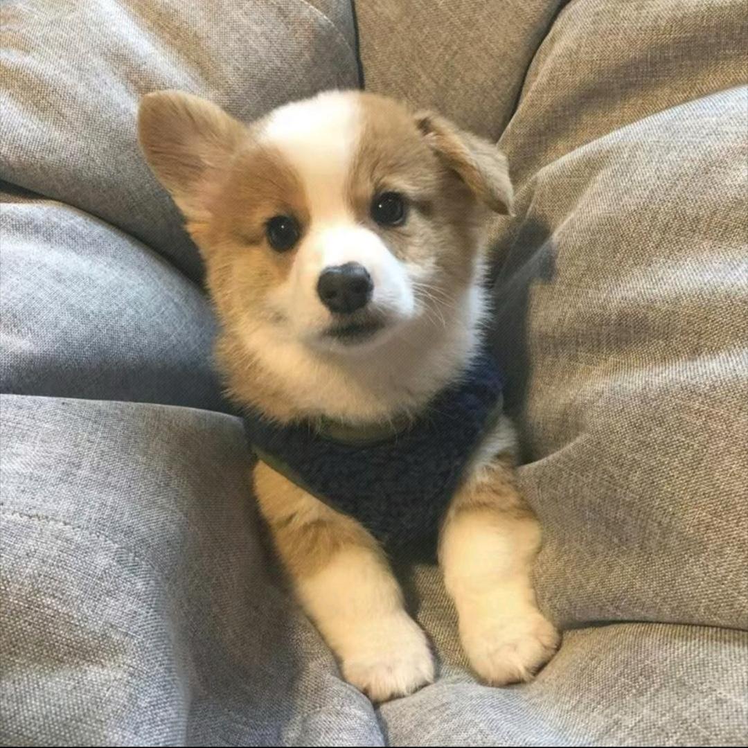 简单些