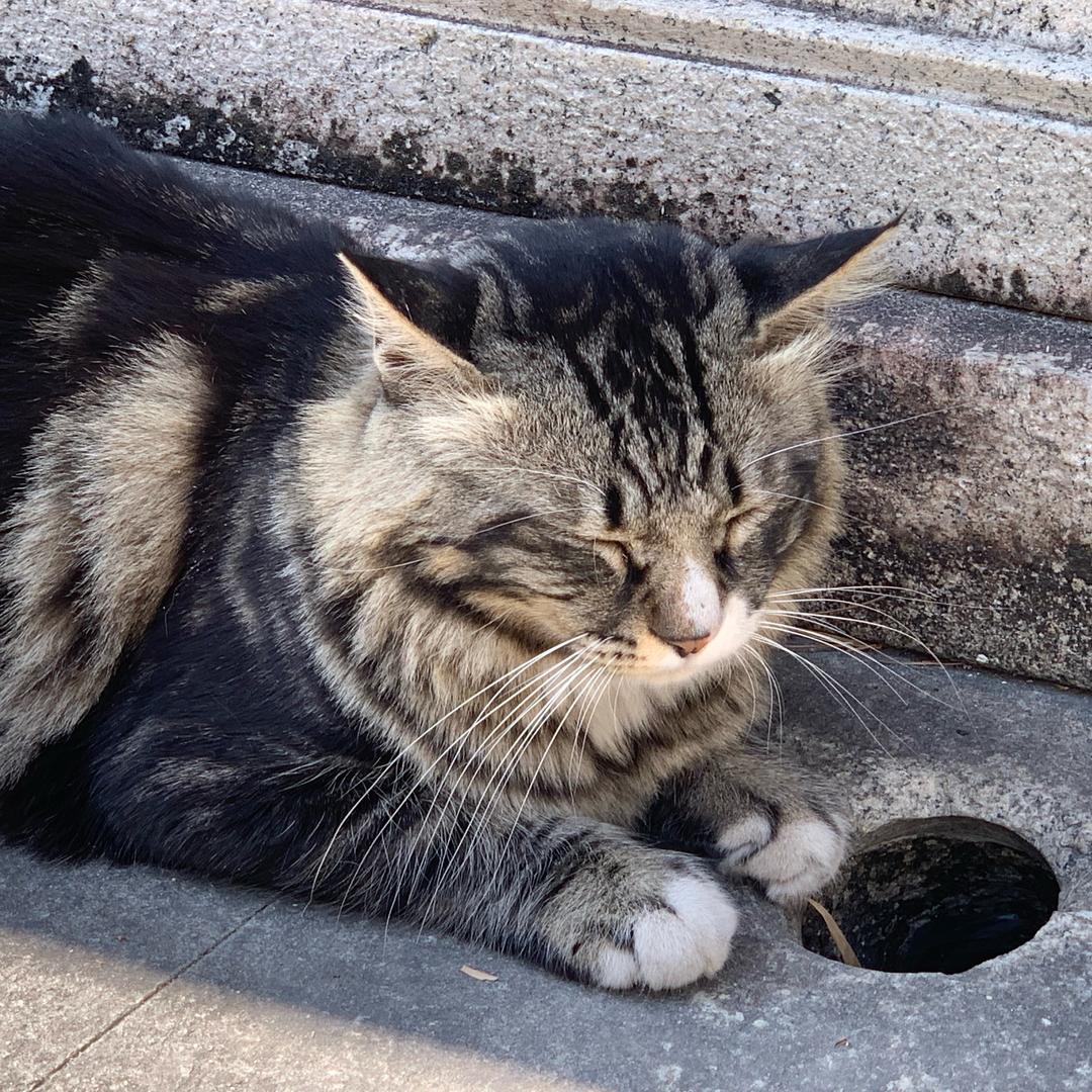 我这有延迟
