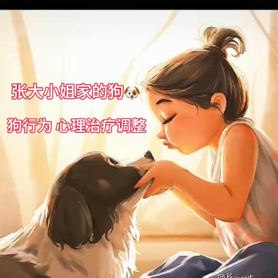 张大小姐家的狗🐶收学员（爱与疗愈）