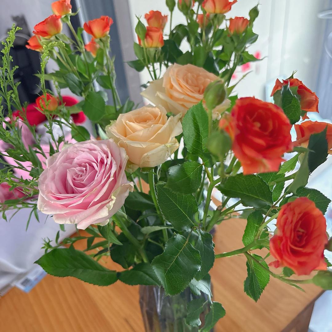 梅梅🌹