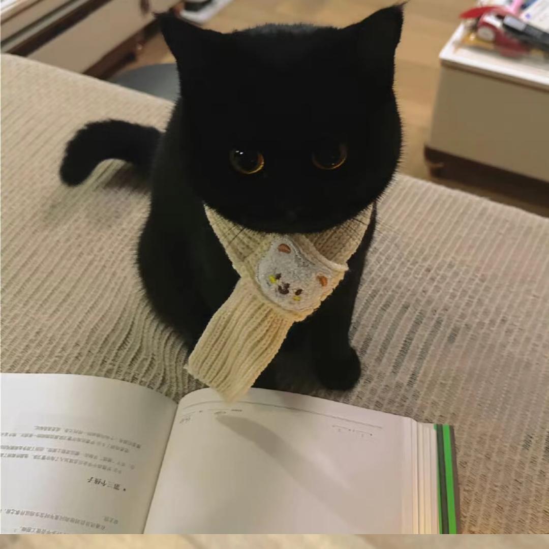 纯情小猫.
