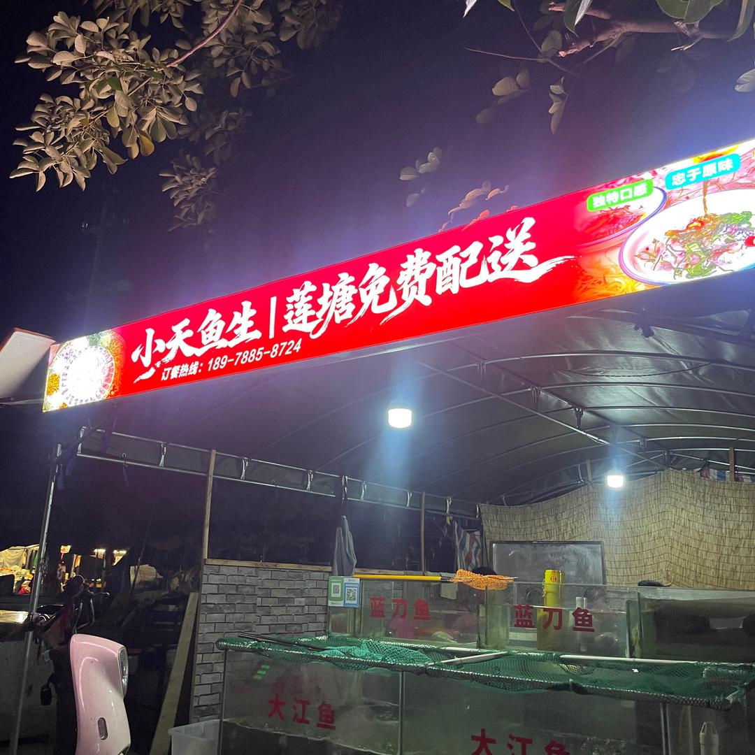 小天鱼生