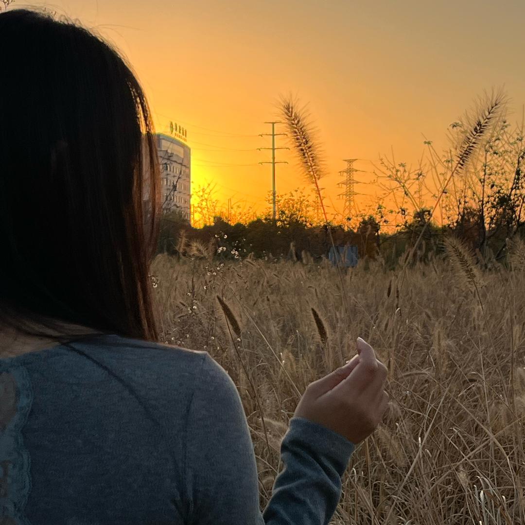 肥肥