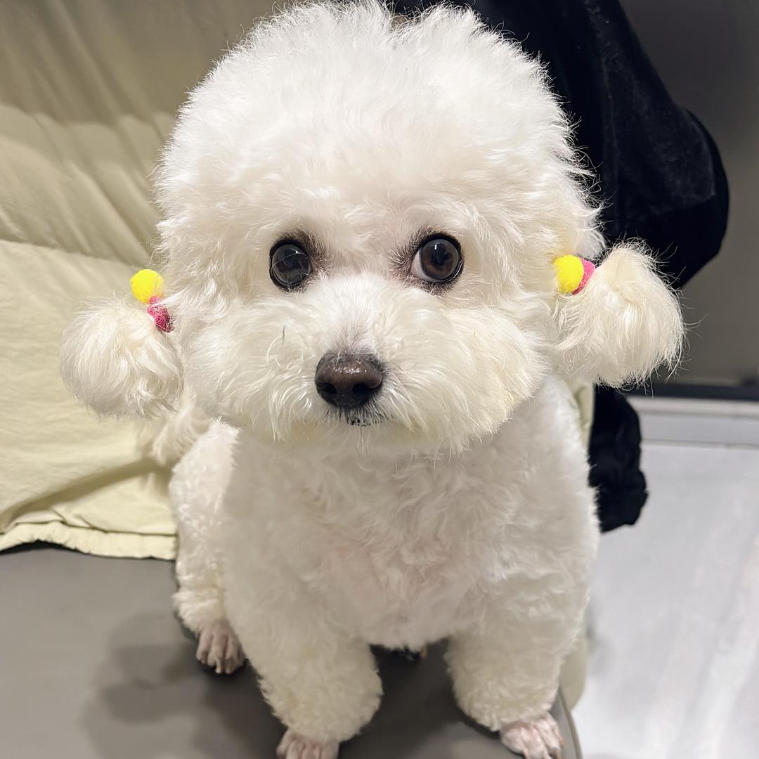 小于鱼