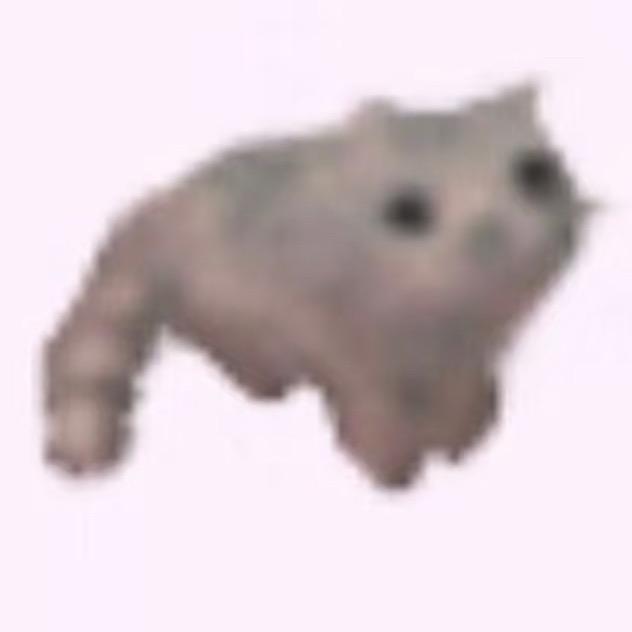 放空屎猫