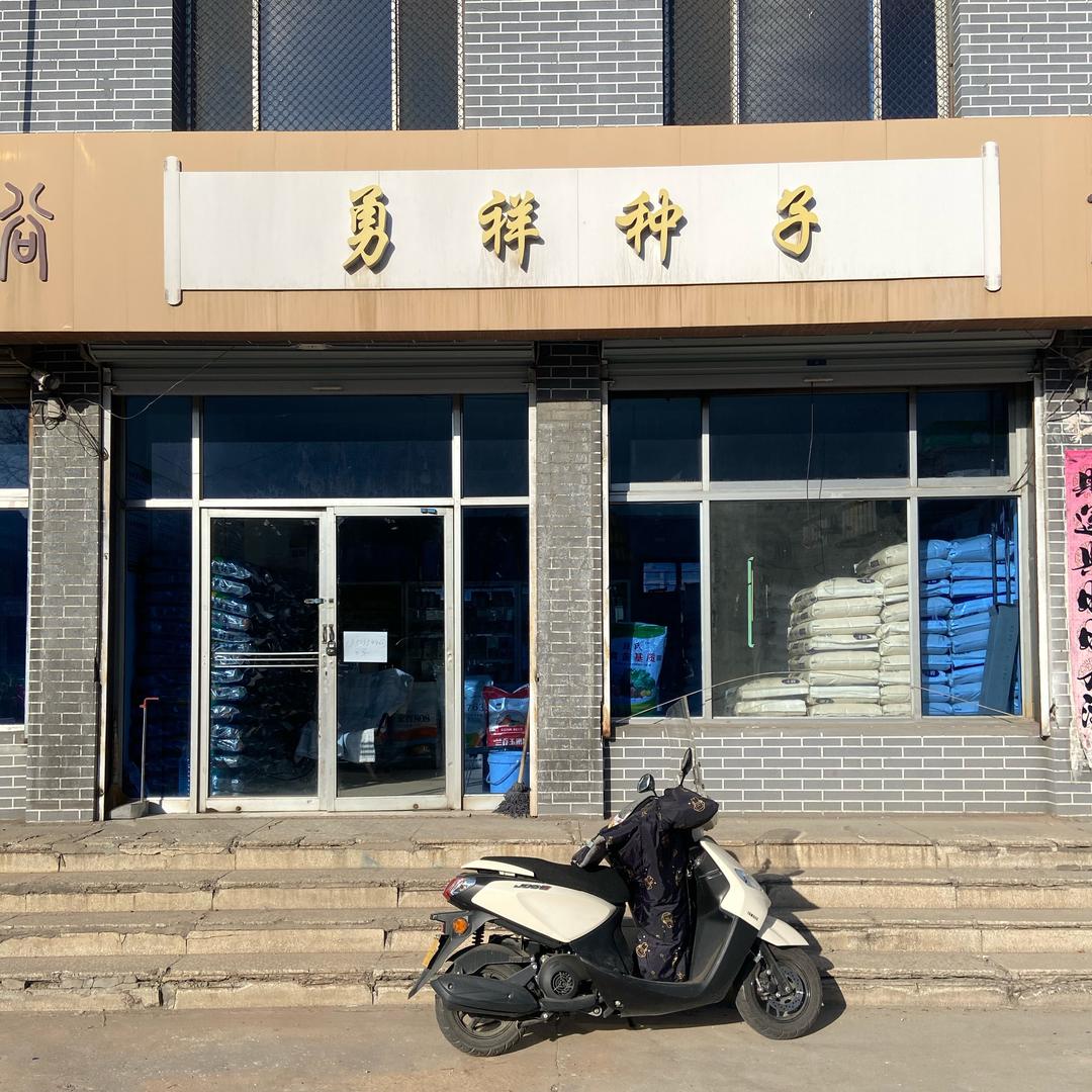 太谷军军（玉米种子       化肥）