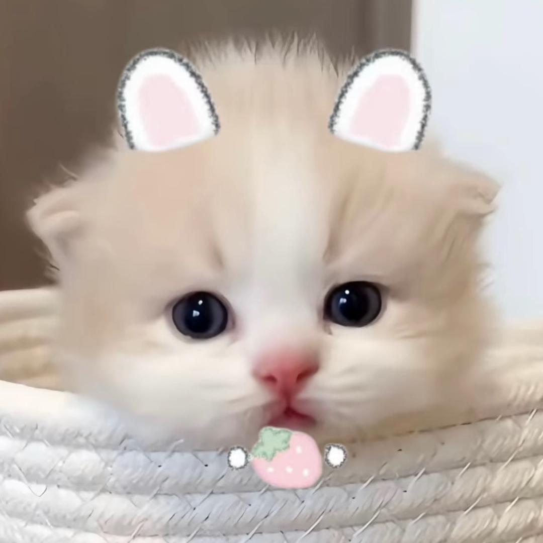 许个愿
