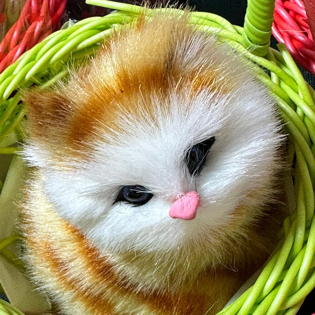 启新