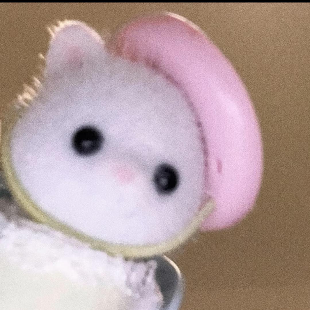 小鱼晒干了