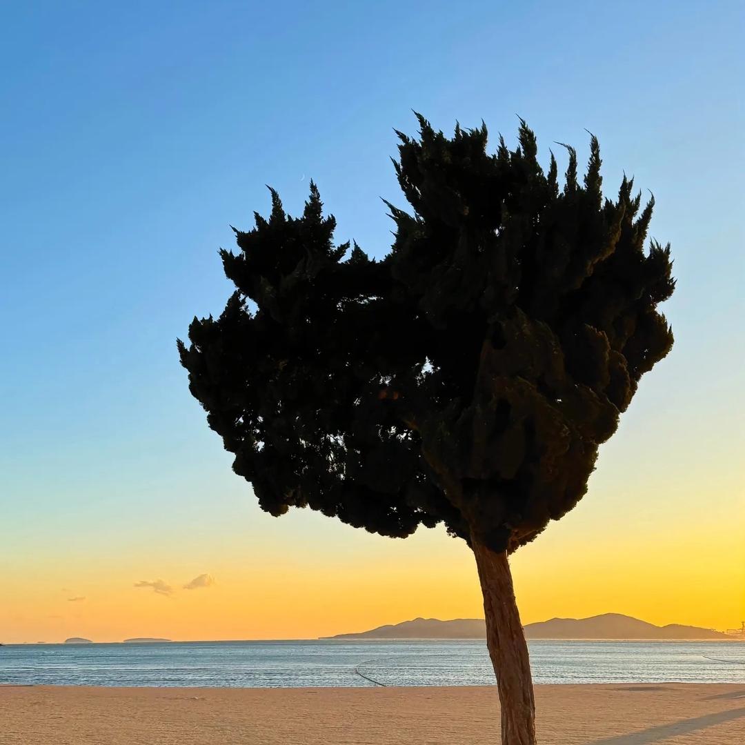 小伙名叫杨小柒儿