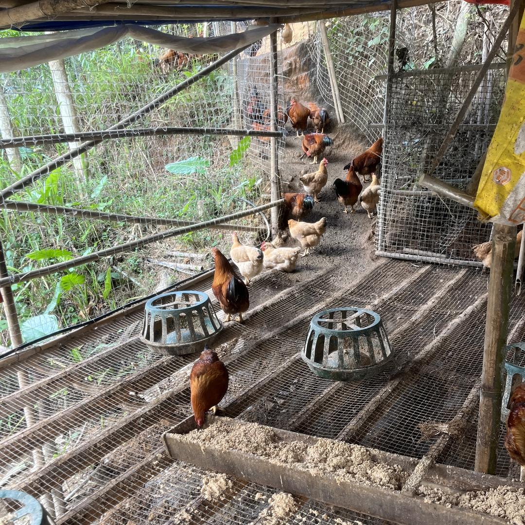 泗纶镇智发农货严选店1