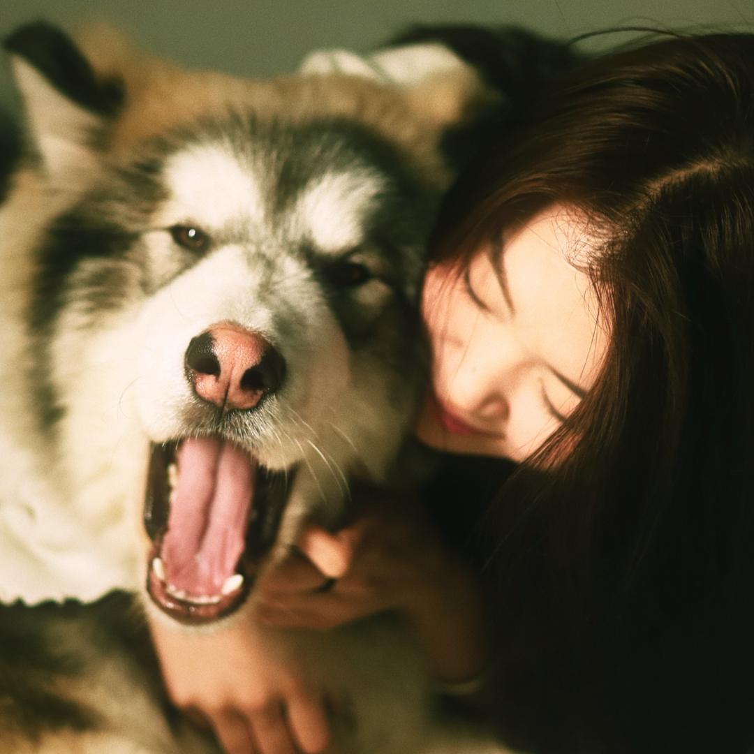 馒头爱吃窝窝头