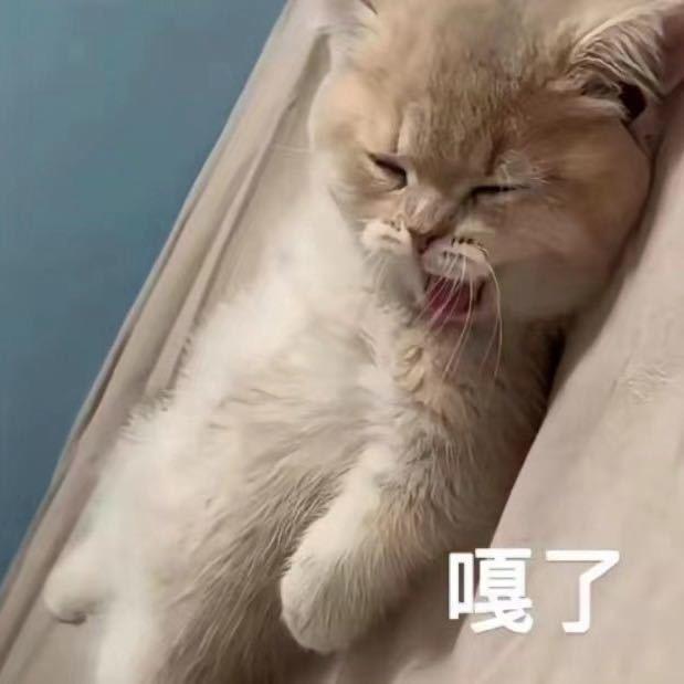 芮宇健