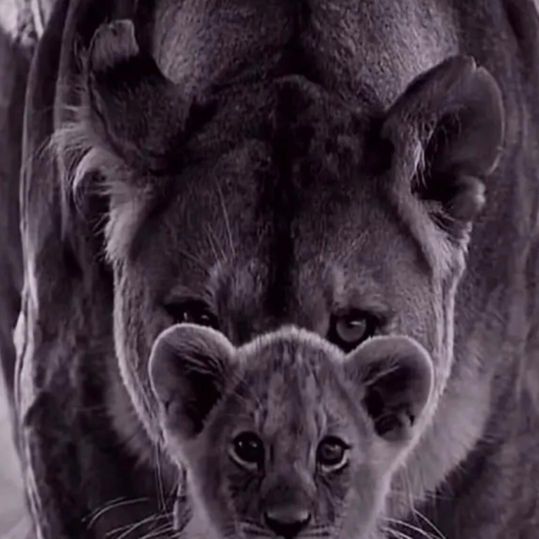 家和万事兴！(˘ω˘)っ🏠