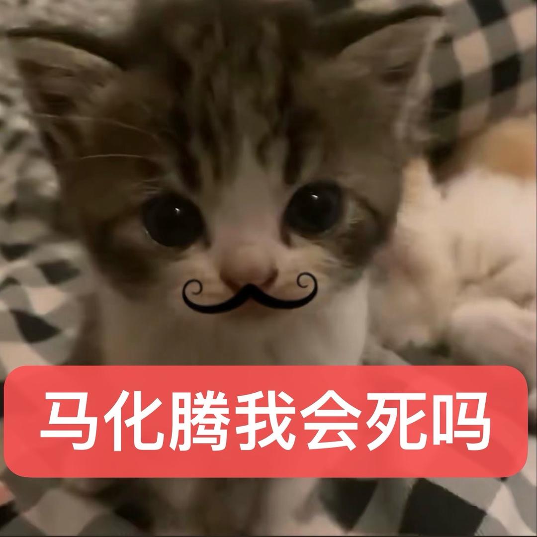 紧致的直男