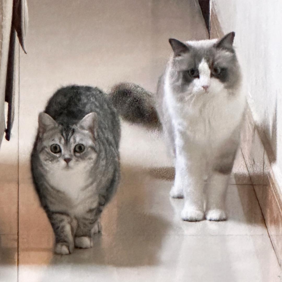 我是美女你让让我怎么了