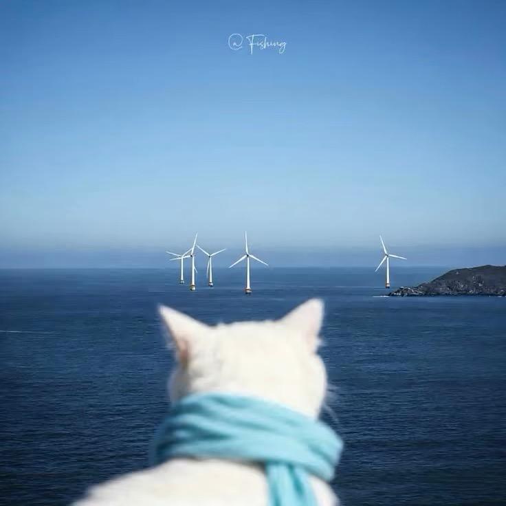 kiki