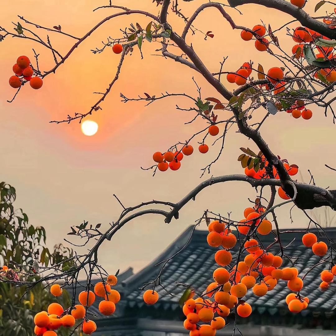 请叫我萱姐