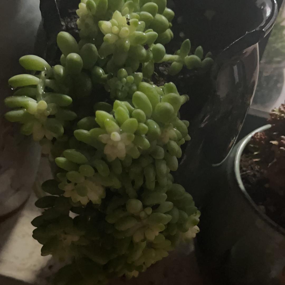 港欣欣好物推荐