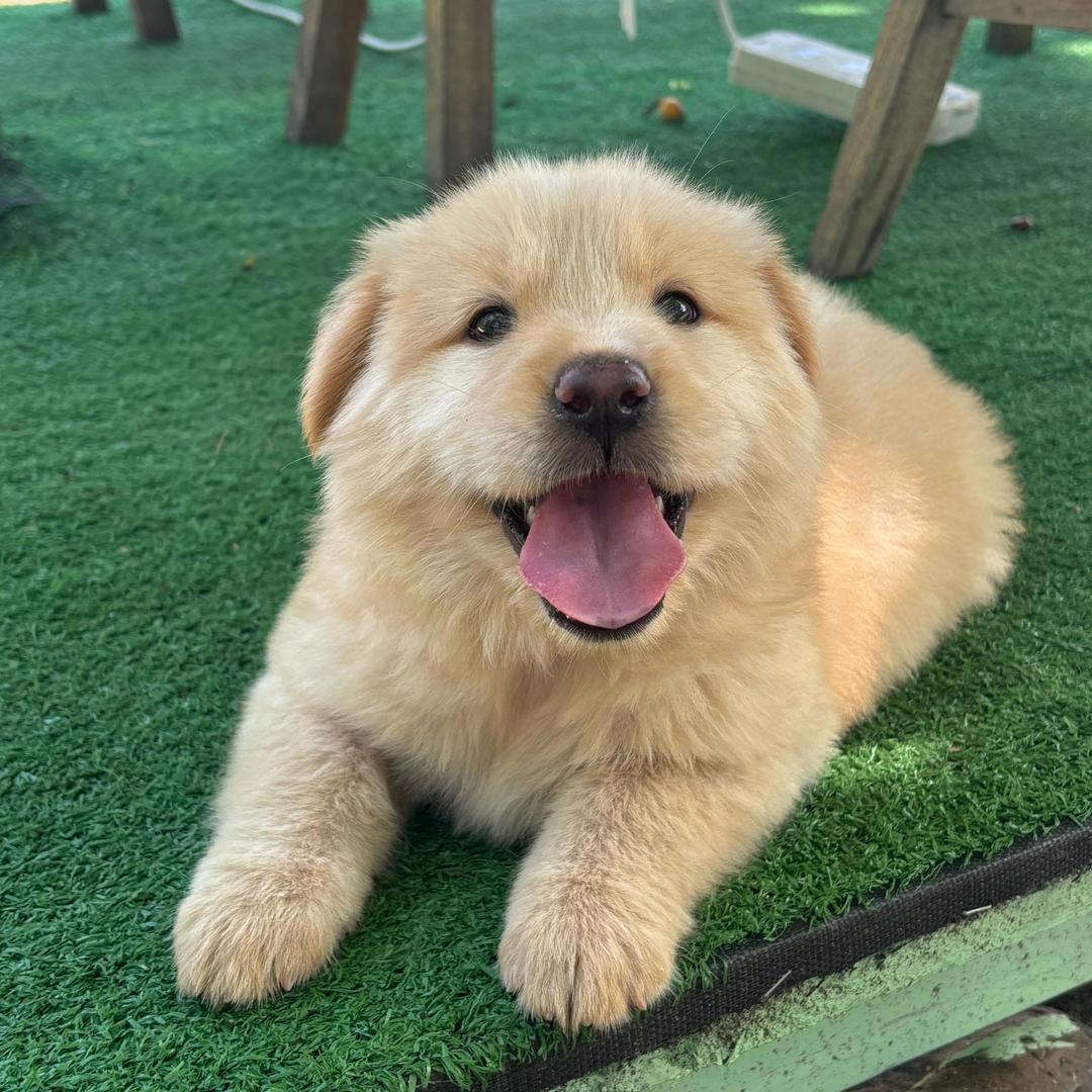 潇、