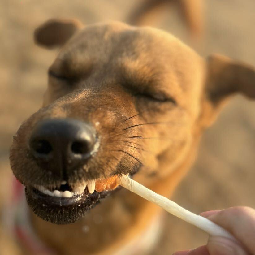 奇怪的丑东西