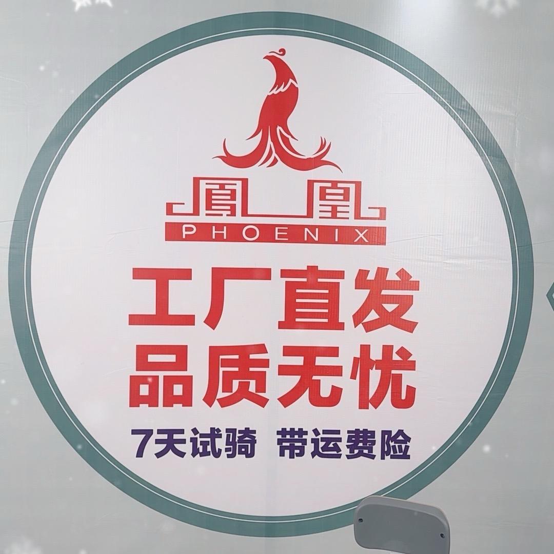 凤凰电动车工厂