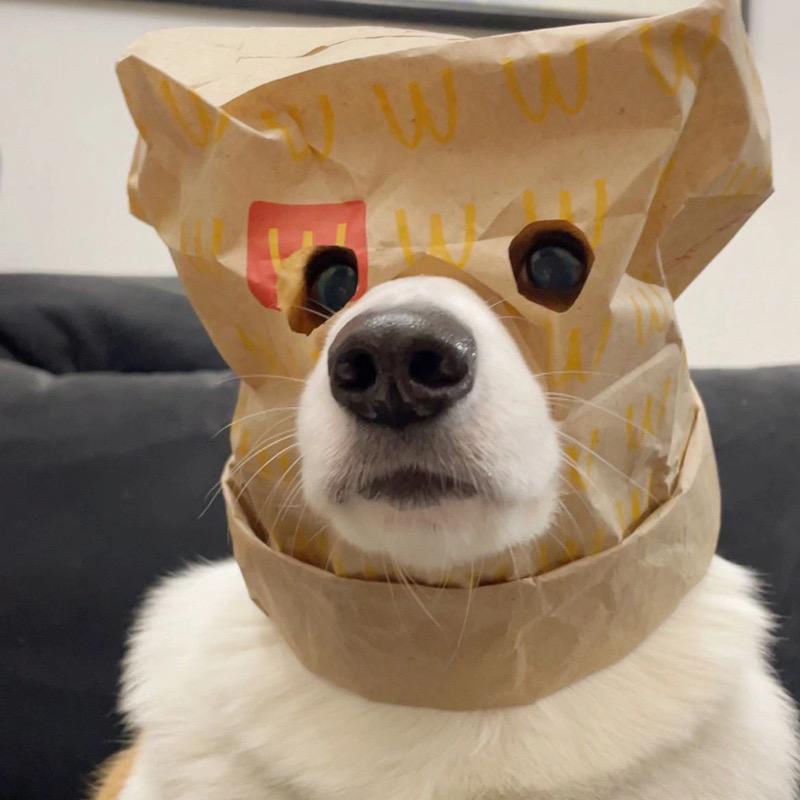 半个喜乐
