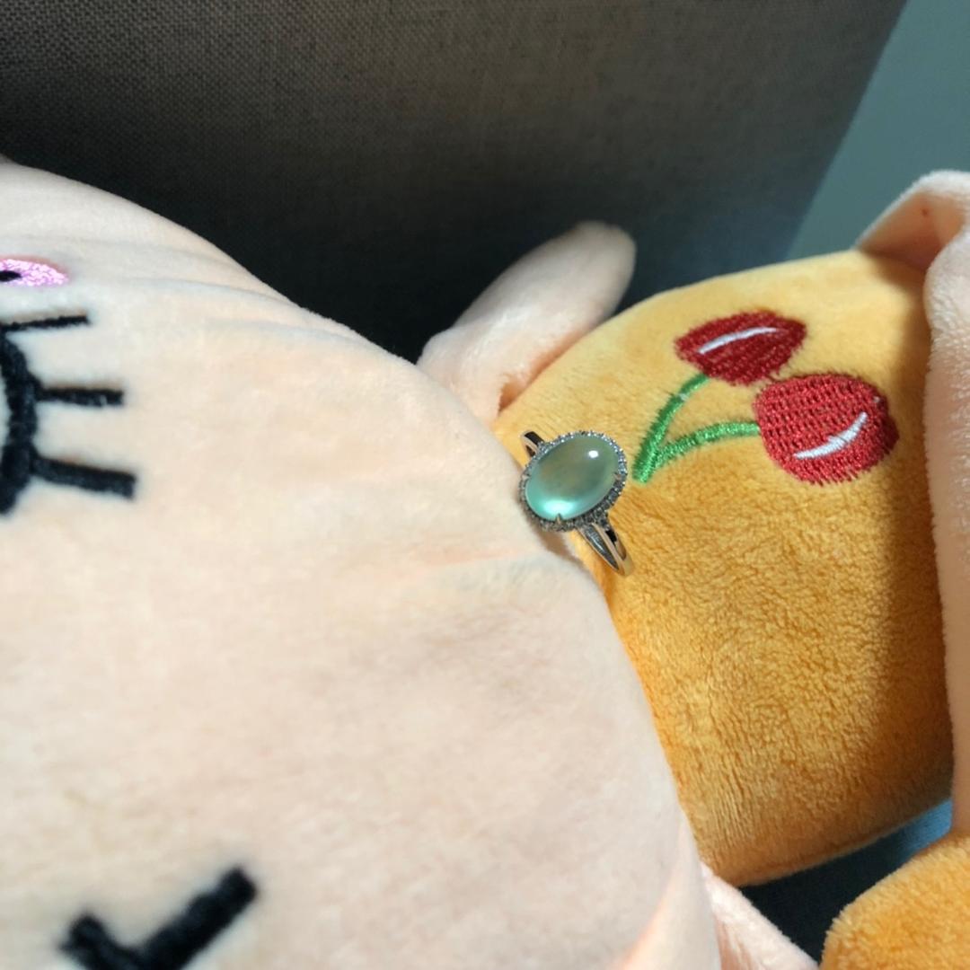 温暖白茶