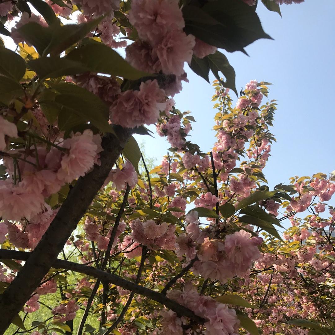 @专治各种不服☞☞☞