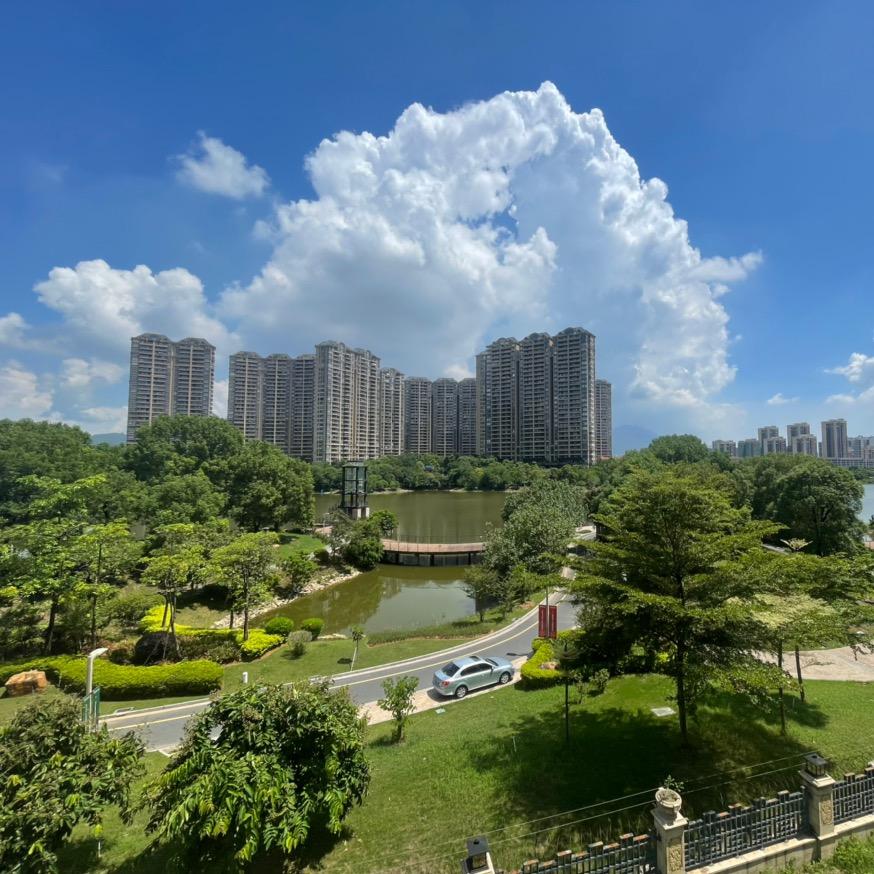 肇庆锦绣山河高启强