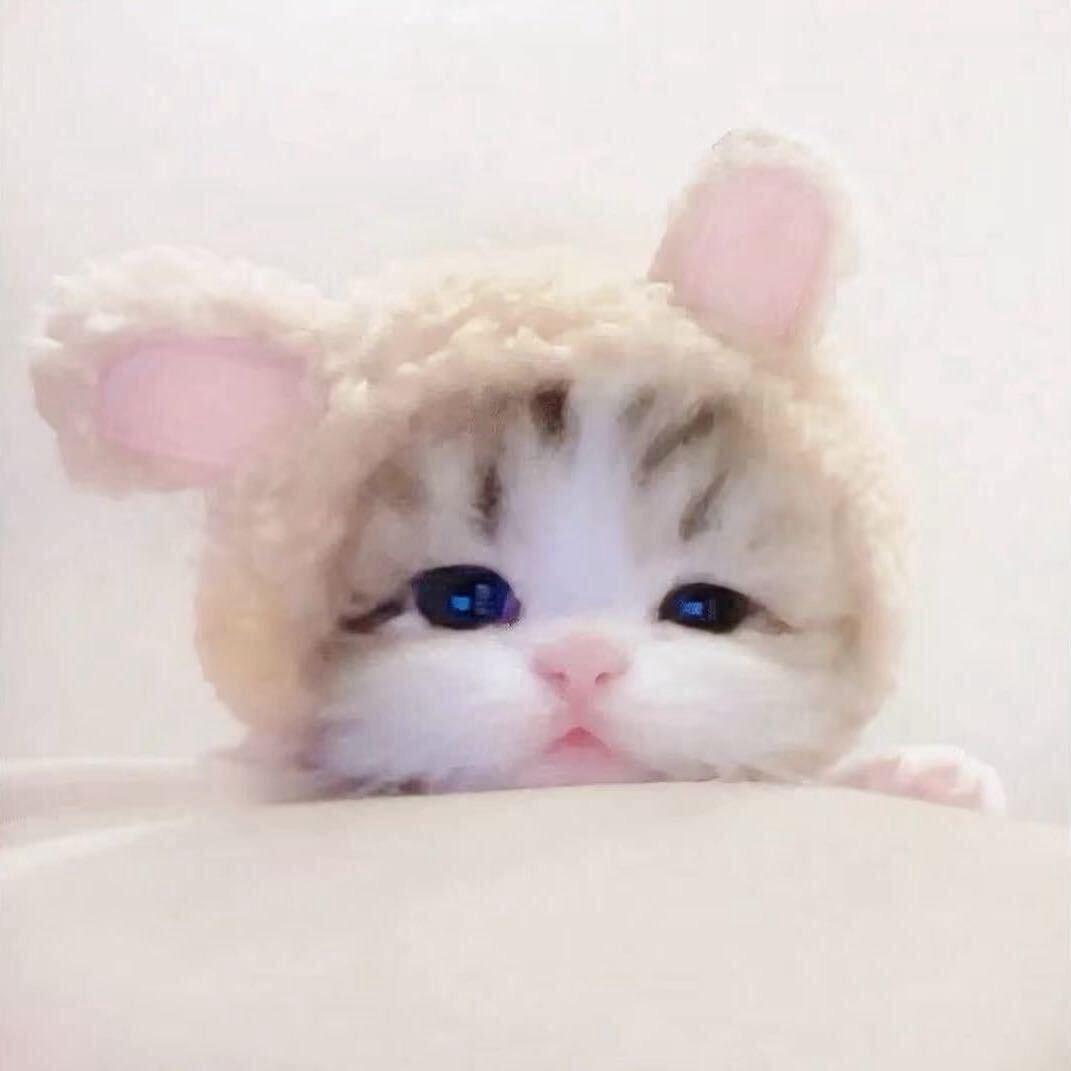 🐾
